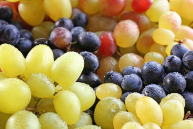 Farklı üzüm çeşitleri 