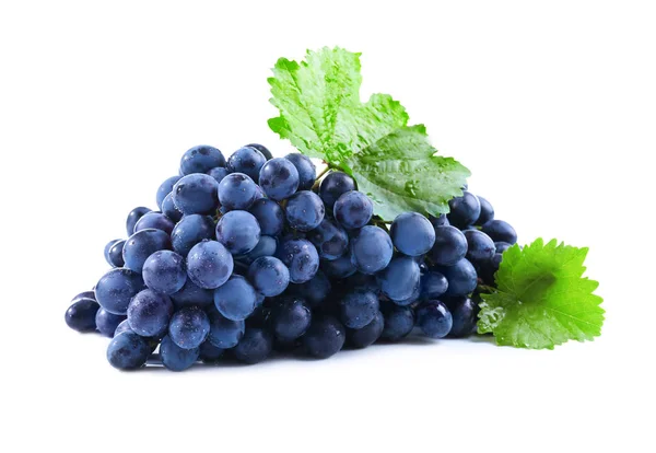 Ramo de uva deliciosa — Foto de Stock