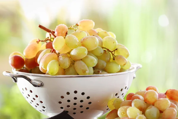 Colino con uve fresche mature — Foto Stock