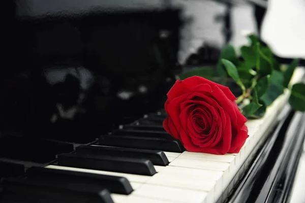 Rosa roja en las teclas de piano, primer plano — Foto de Stock