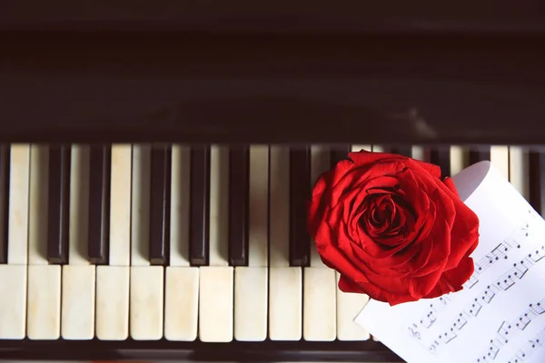 Rosa roja y hoja musical sobre teclas de piano —  Fotos de Stock