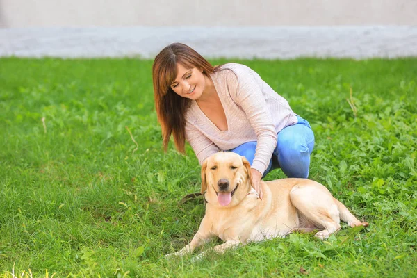 公園で犬と熟女 — ストック写真