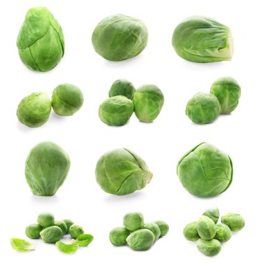 Brussel lahanası ile kolaj