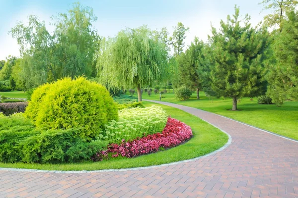 아름다운 푸른 공원 — 스톡 사진