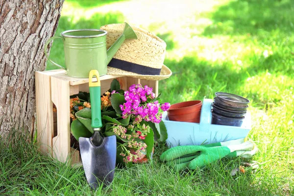 Bunga dan alat berkebun di luar ruangan — Stok Foto