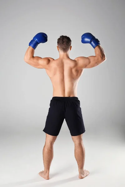 Male boxer on background — Stock Photo, Image