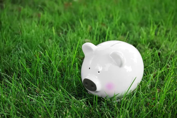 Niedliches Sparschwein auf frischem grünen Gras — Stockfoto