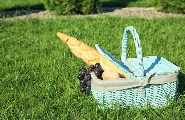 Cesto di vimini con roba da picnic — Foto Stock