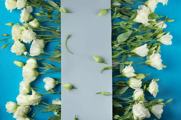 Kompozycja z pięknych kwiatów — Zdjęcie stockowe