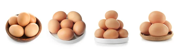 Collage avec des œufs de poulet — Photo