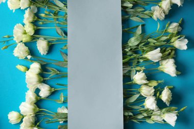 Güzel çiçekler ile kompozisyon  