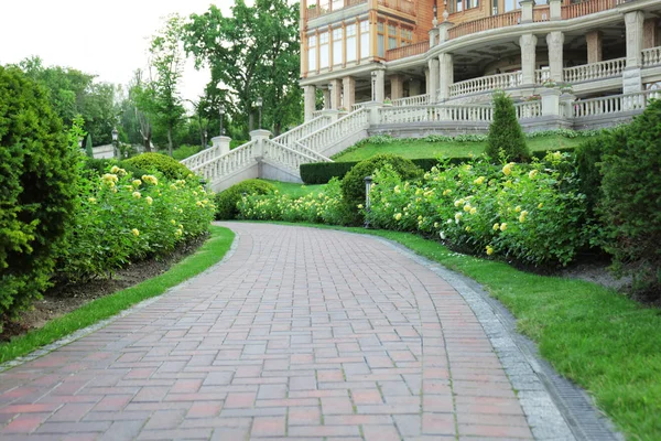 Beautiful green park — Stock Photo, Image