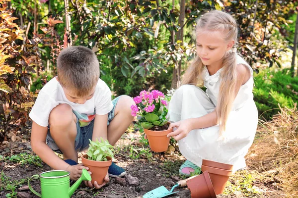 Carino i bambini che regolano le piante in giardino — Foto Stock