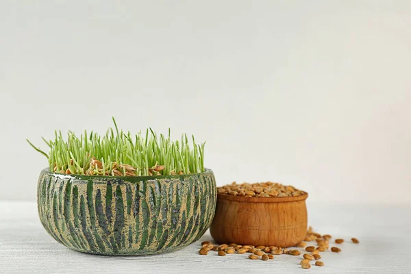 Hierba sana de trigo fresco — Foto de Stock