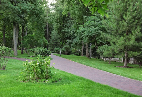 Hermoso parque verde — Foto de Stock