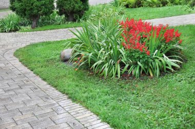 Güzel bir flowerbed park manzarası