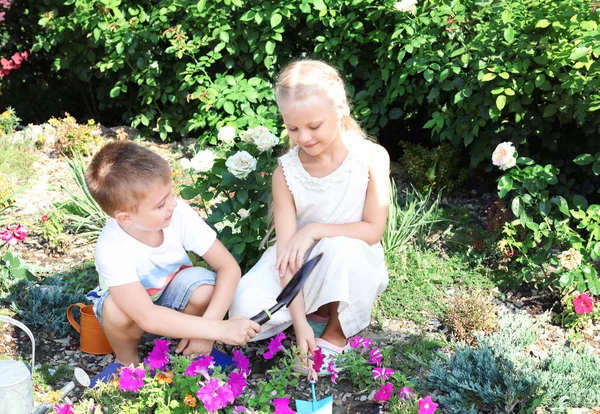 Cute little children planting flowers in garden — Stock Photo, Image