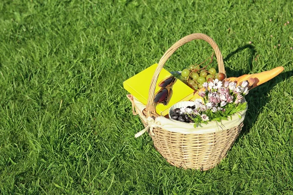 Wicker basket with picnic stuff — Stock Photo, Image
