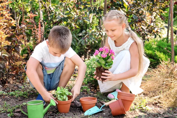 Χαριτωμένα παιδάκια ρύθμιση φυτά στον κήπο — Φωτογραφία Αρχείου