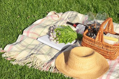 Battaniye açık havada üzerinde piknik sepeti ile kompozisyon