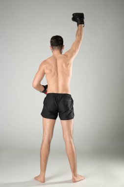 Arka plan üzerinde erkek boxer