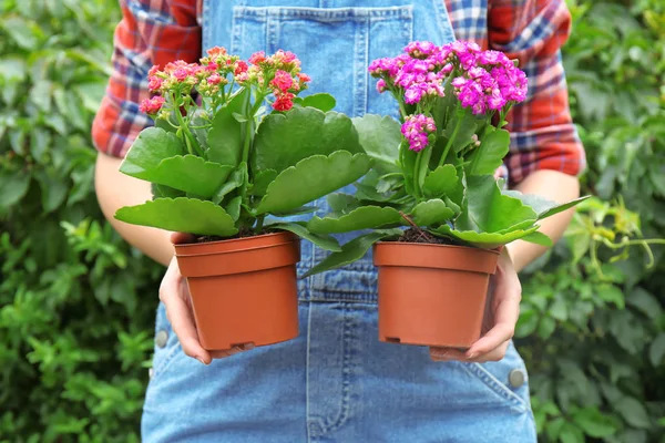 Kadın bahçıvan çiçekli tencere holding 