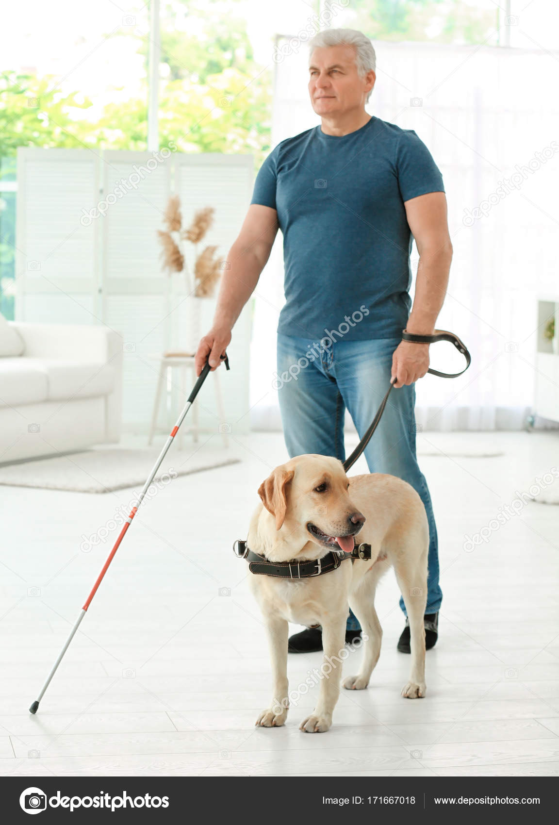 blind man with dog