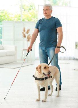Rehber köpek vasıl ev ile kör adam