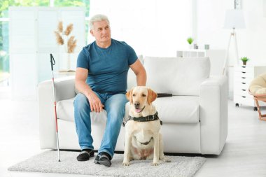 Rehber köpek evde koltukta oturan ile kör adam