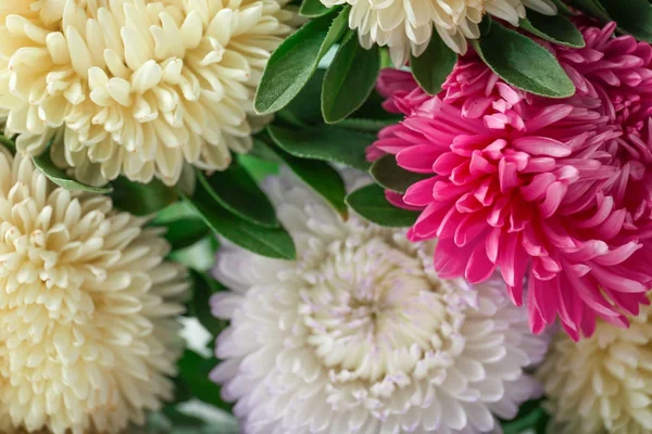 Chrysanthemum blommor bukett — Stockfoto