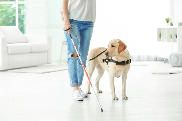 Blind kvinna med ledarhund — Stockfoto