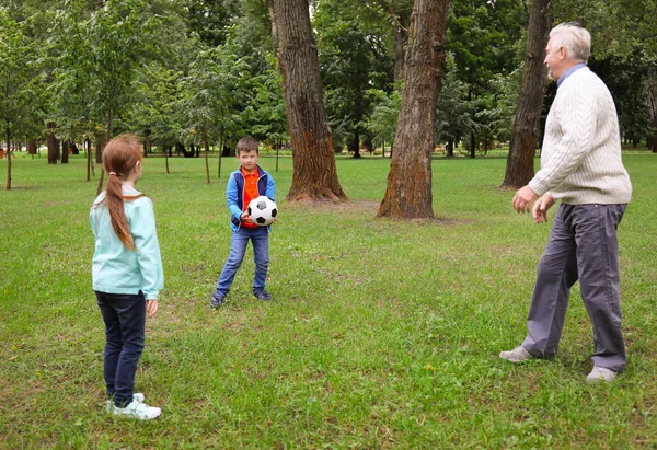 Senior man and his grandchildren playing with ball in park — Stock Photo, Image