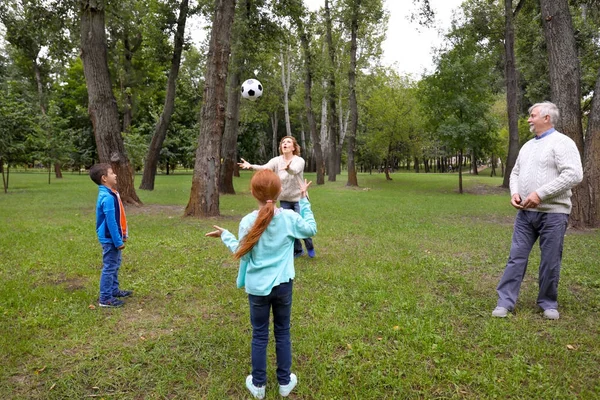 Senior man and woman playing with grandchildren in park — Stock Photo, Image