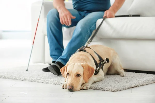 Homem cego com cão guia — Fotografia de Stock