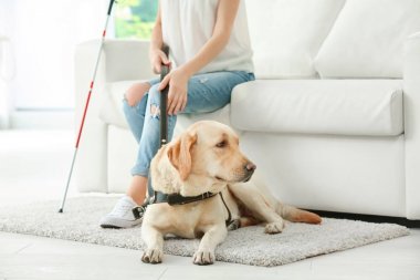 Rehber köpek kör kadınla 