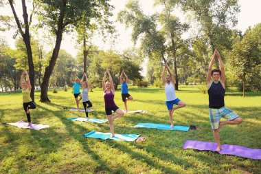 Bir grup genç insan pratik yoga Park