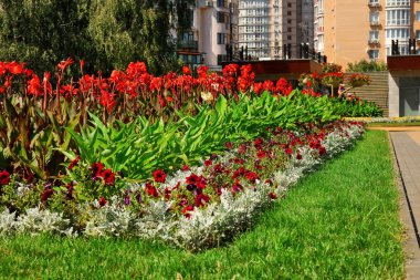 Güzel bir flowerbed park manzarası