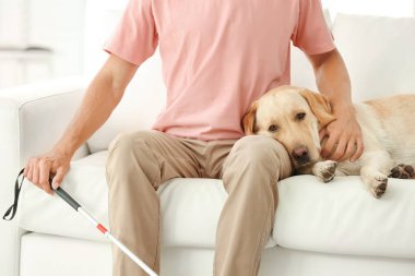 Rehber köpek evde koltukta oturan ile kör adam