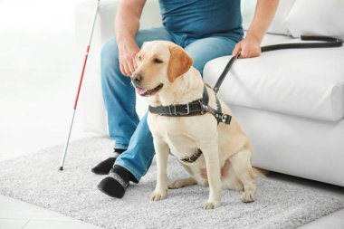 Rehber köpek ile kör adam