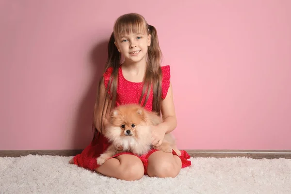 Cute girl with little dog against color wall — Stock Photo, Image
