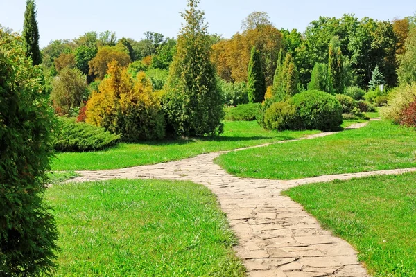 Hermoso parque verde — Foto de Stock