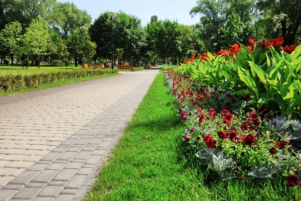 Prachtig uitzicht op park met flowerbed — Stockfoto