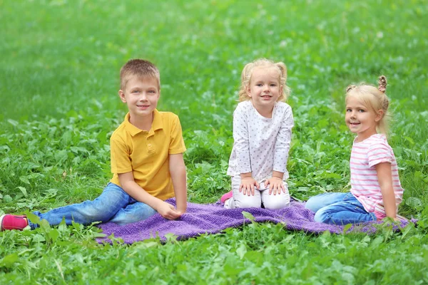 Adorable little children sitting on blanket in park — Stock Photo, Image