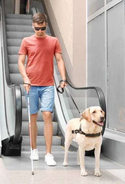 Blinde man met geleidehond in de buurt van roltrap — Stockfoto
