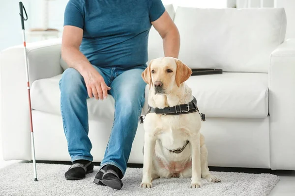 Blinde man met geleidehond — Stockfoto