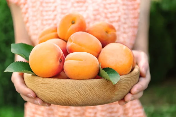 Sappige rijpe abrikozen buiten — Stockfoto