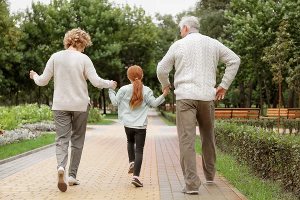 Маленькая девочка с бабушкой и дедушкой, гуляющая в парке — стоковое фото