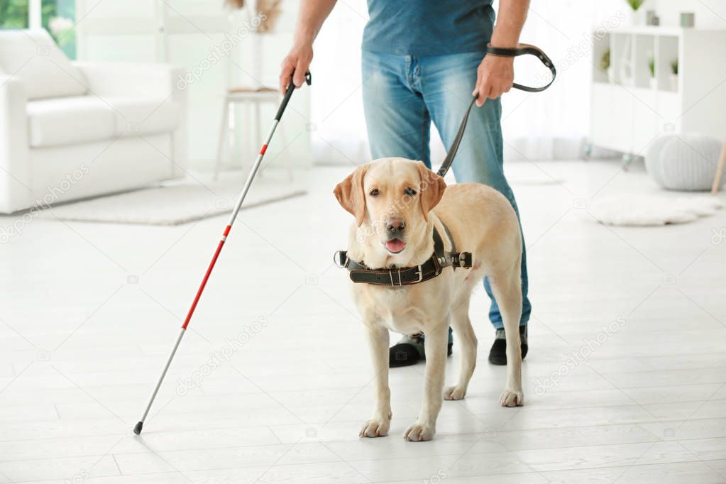 Blind man with guide dog