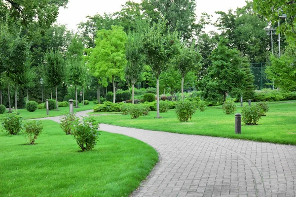 Beautiful green park — Stock Photo, Image