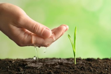 Yeşil Filiz dikkat çekici kadın 